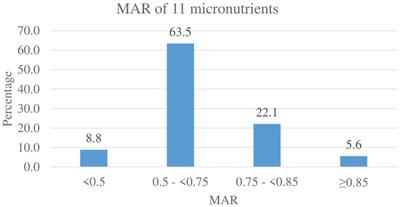 Micronutrient inadequacy among lactating mothers in rural areas of North Mecha District, Amhara Region, Ethiopia